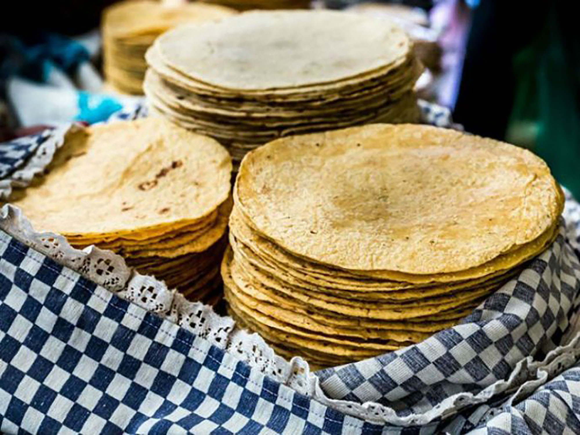 Totilla de maíz. Foto cortesía