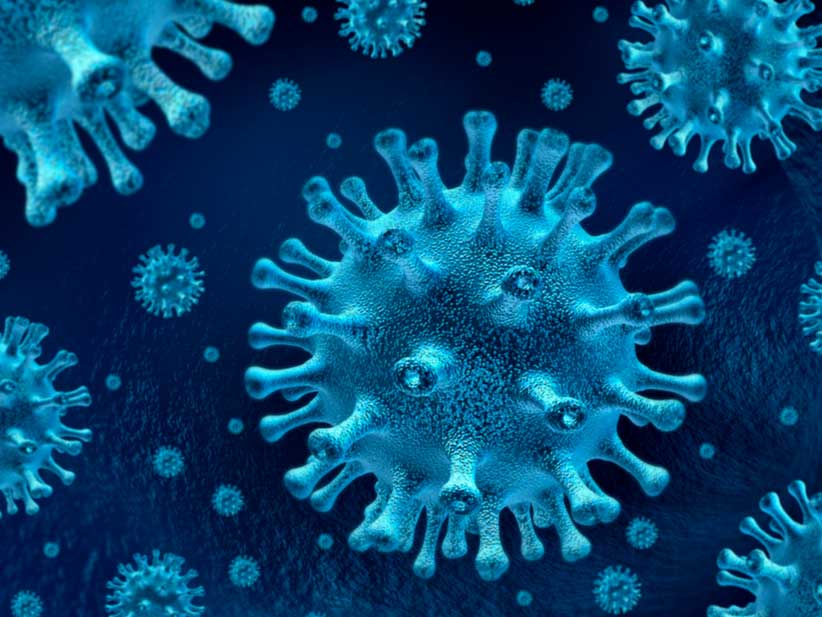 Coronavirus Covid-19. Foto internet