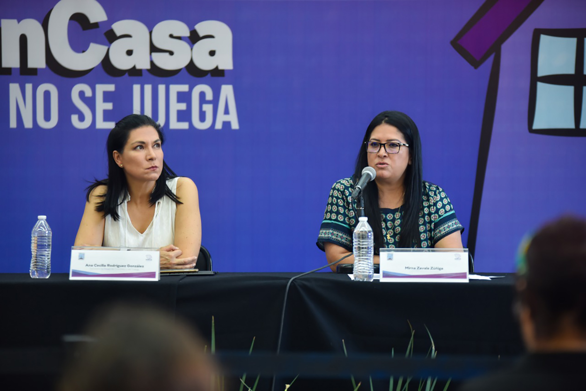 Ana Cecilia Rodríguez González, titular de la Secretaría de Desarrollo Económico y del Trabajo. Foto cortesía