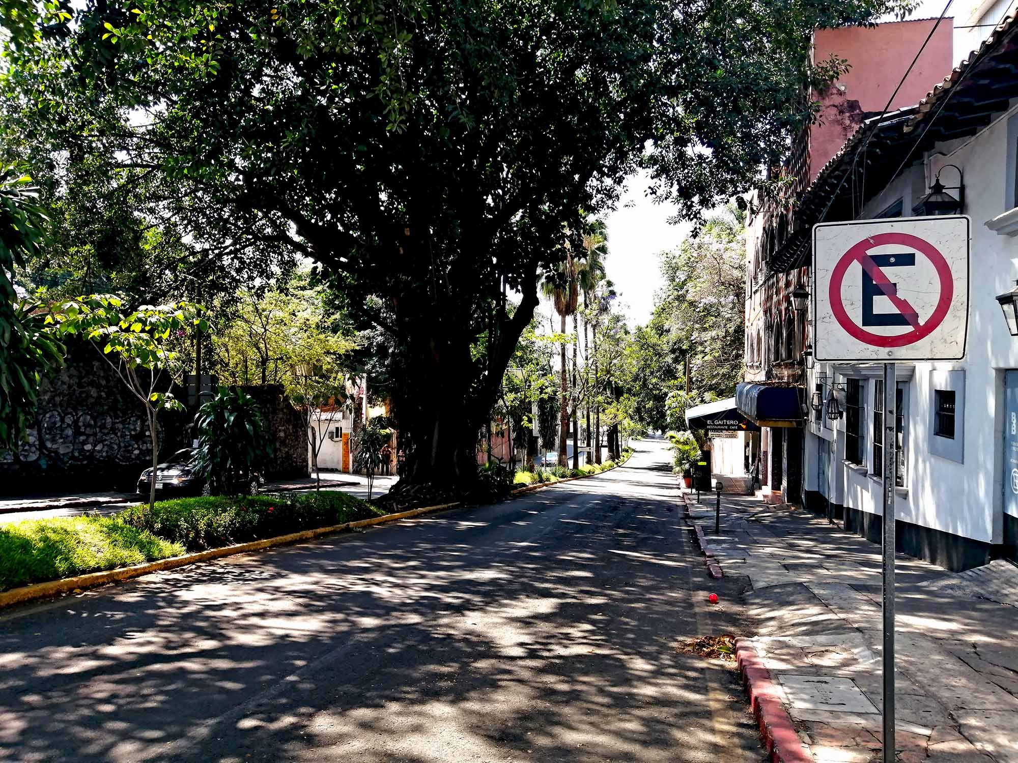 Bulevar Juárez en Cuernavaca. Foto de aspecto