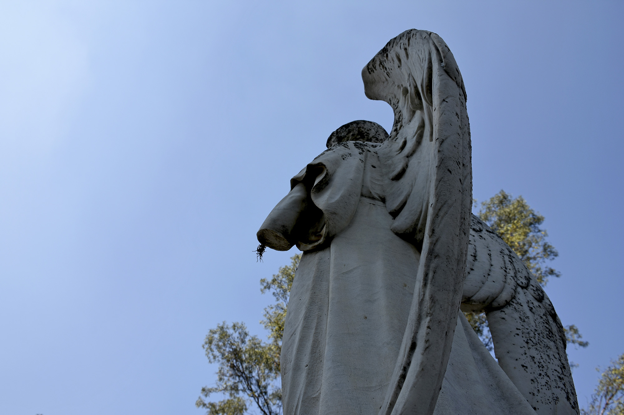 Angel de mármol de La Leona. Foto Máximo Cerdio