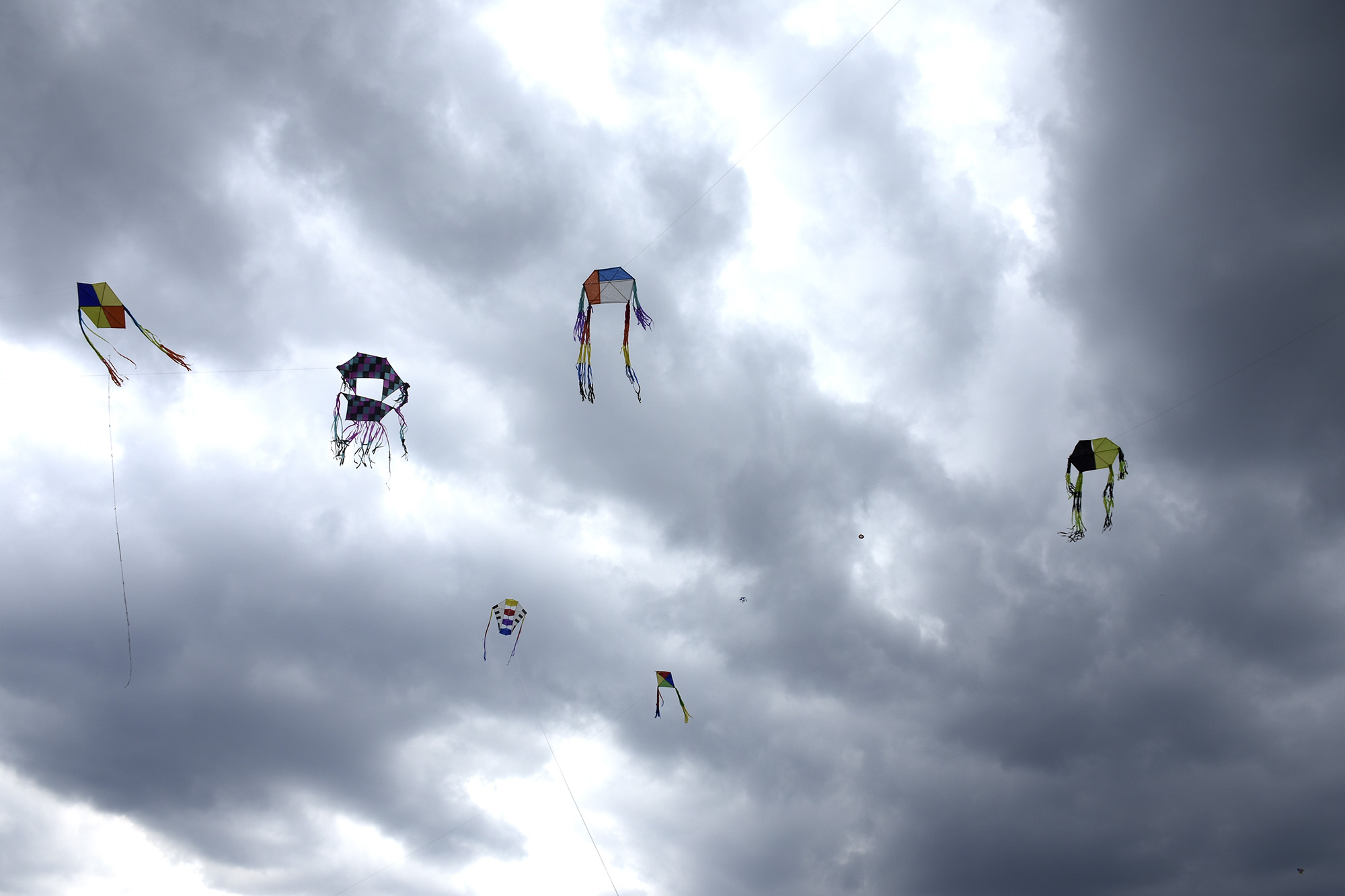 Papalotes como peces en el cielo