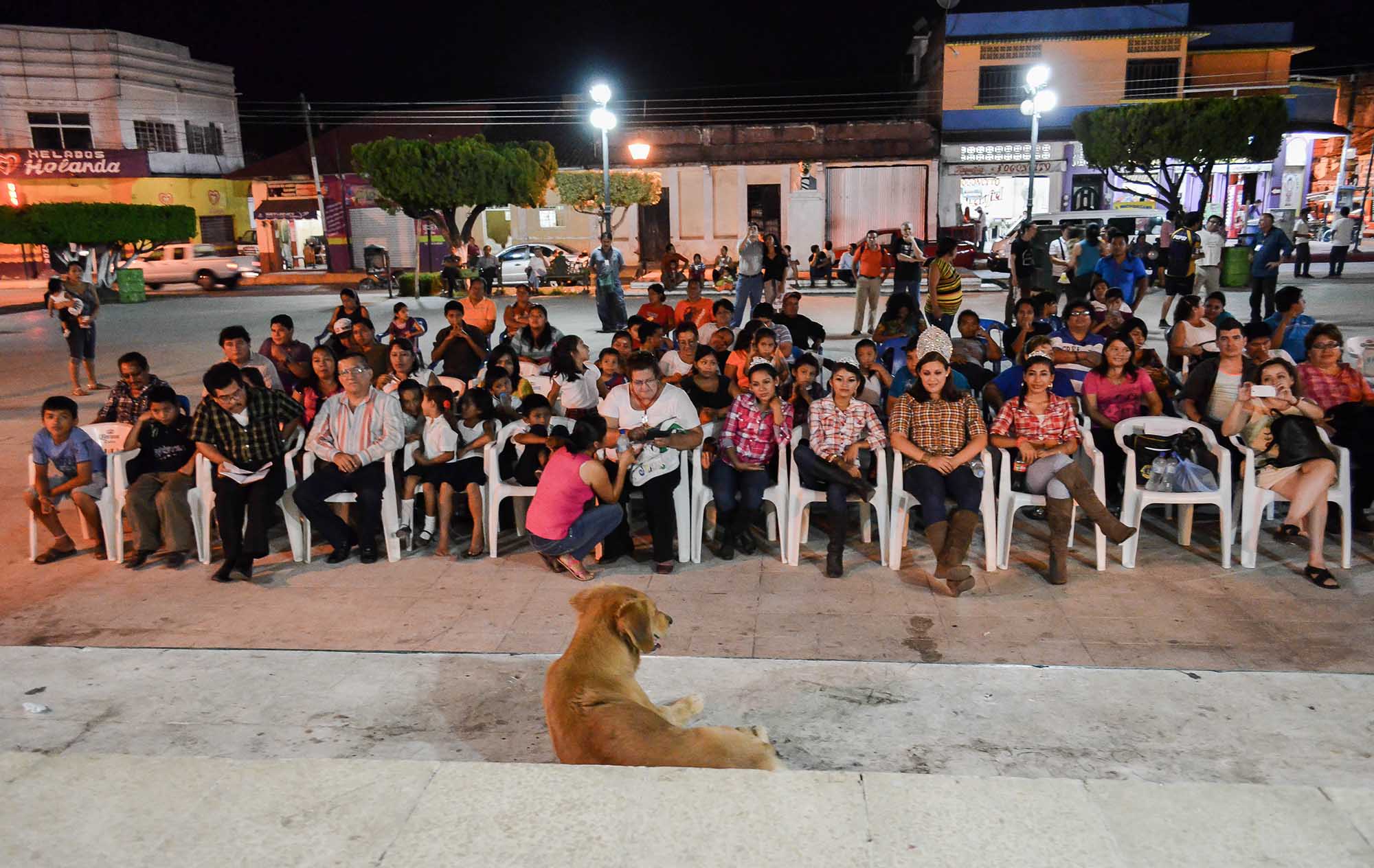 Perro frente a público. Foto Máximo Cerdiop