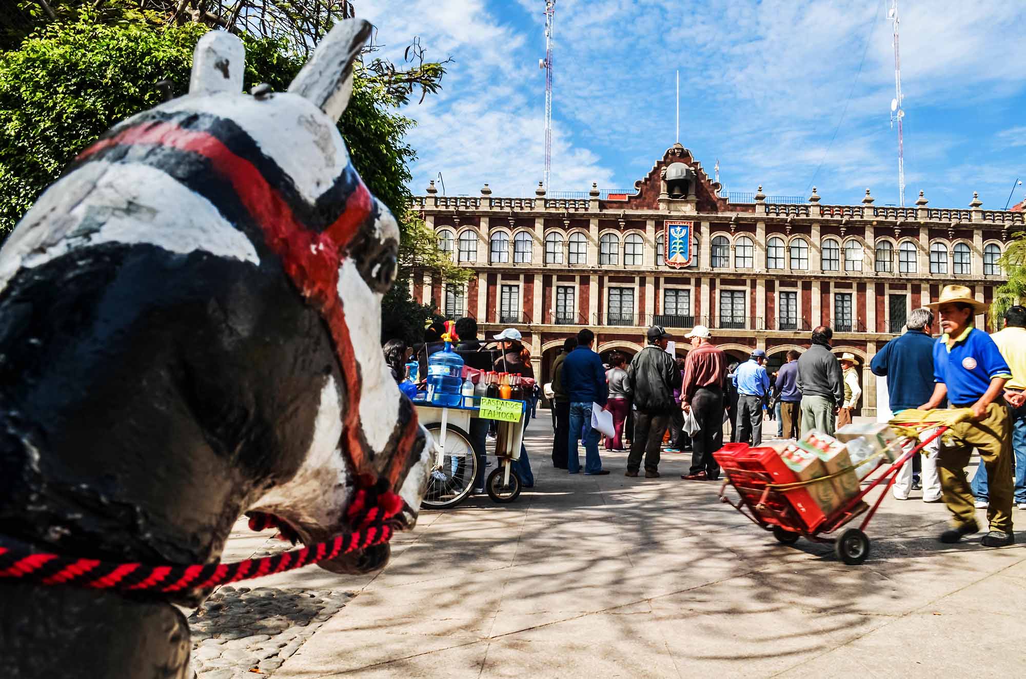 Caballito en Plaza de Armas3. Foto Máximo Cerdio