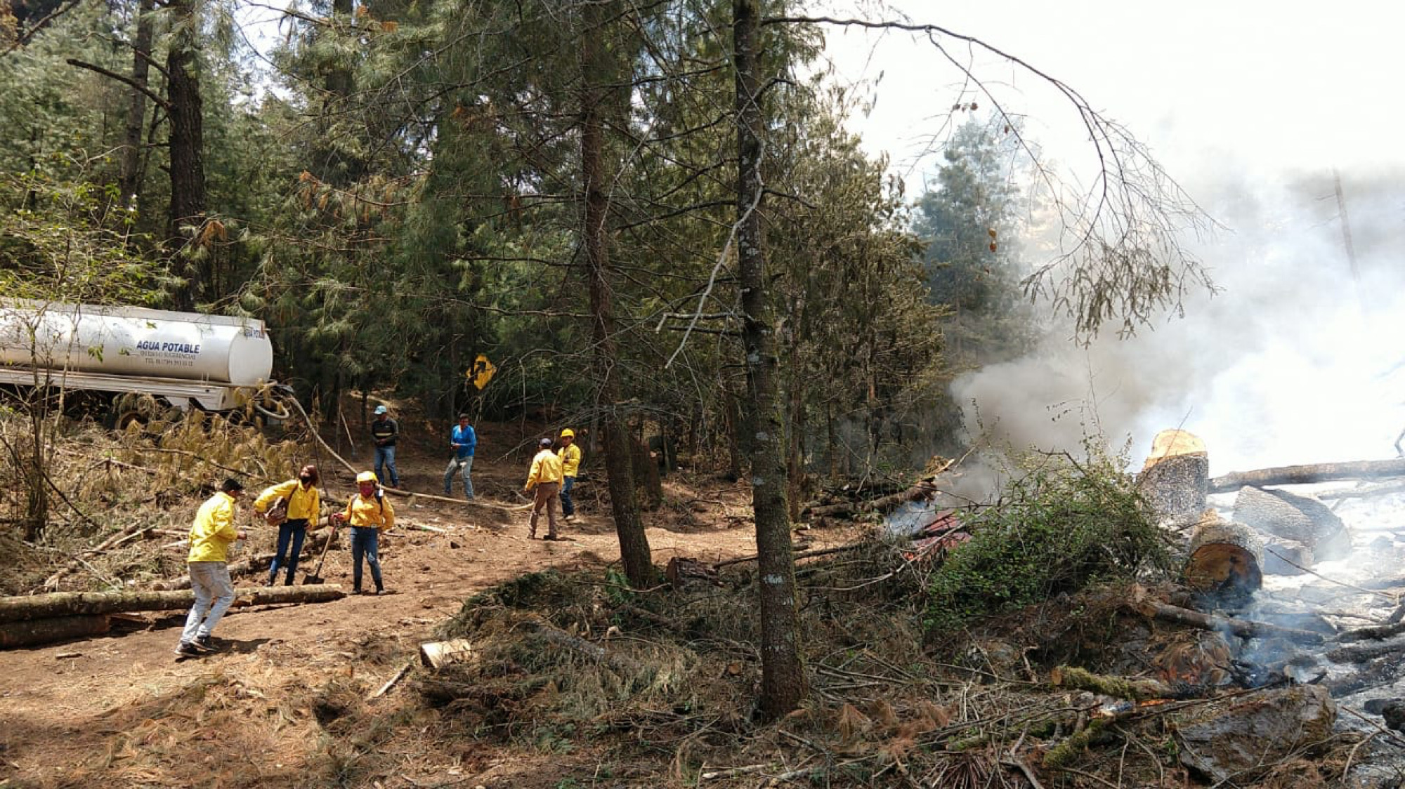 Incendios forestales. Foto cortesía 