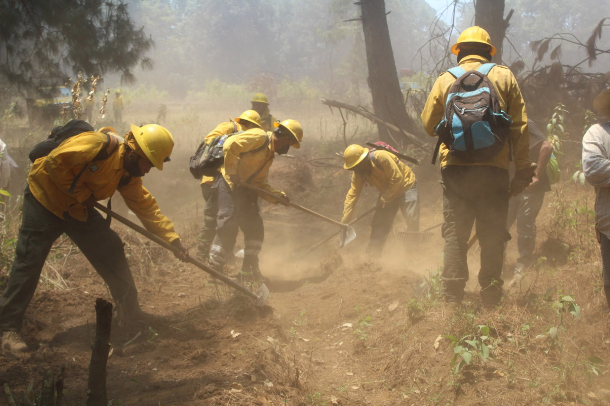 Incendios forestales. Foto cortesía