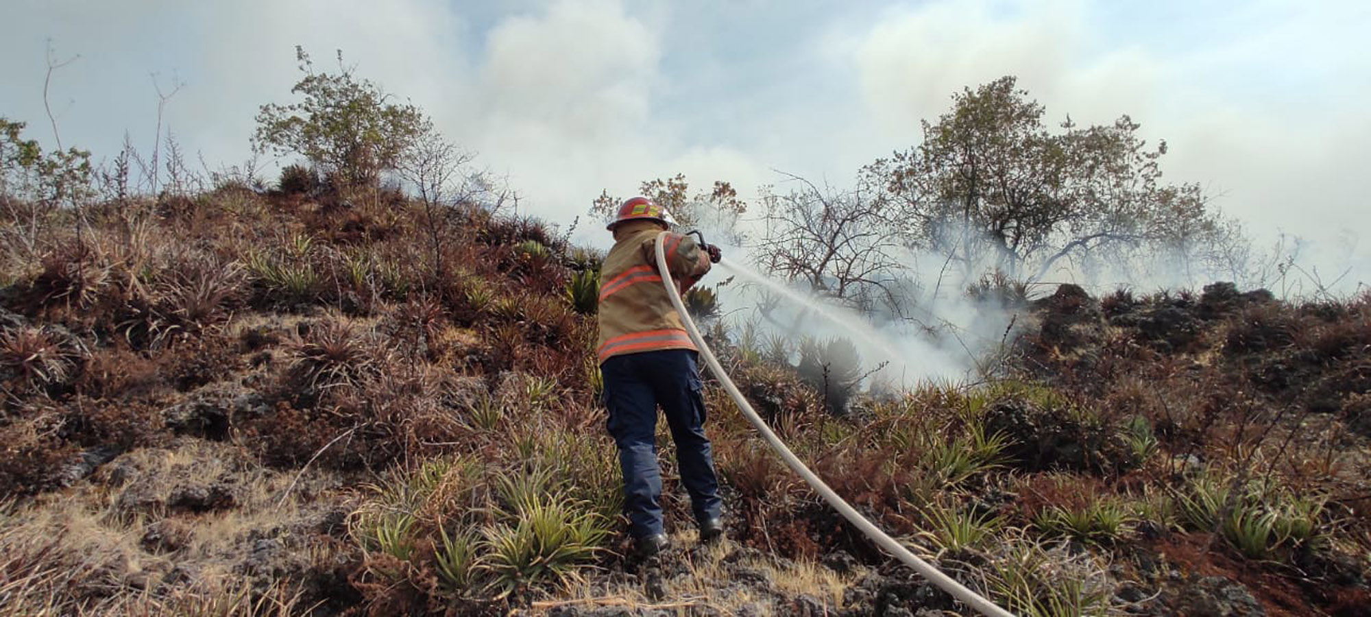 Incendios forestales. Foto cortesía