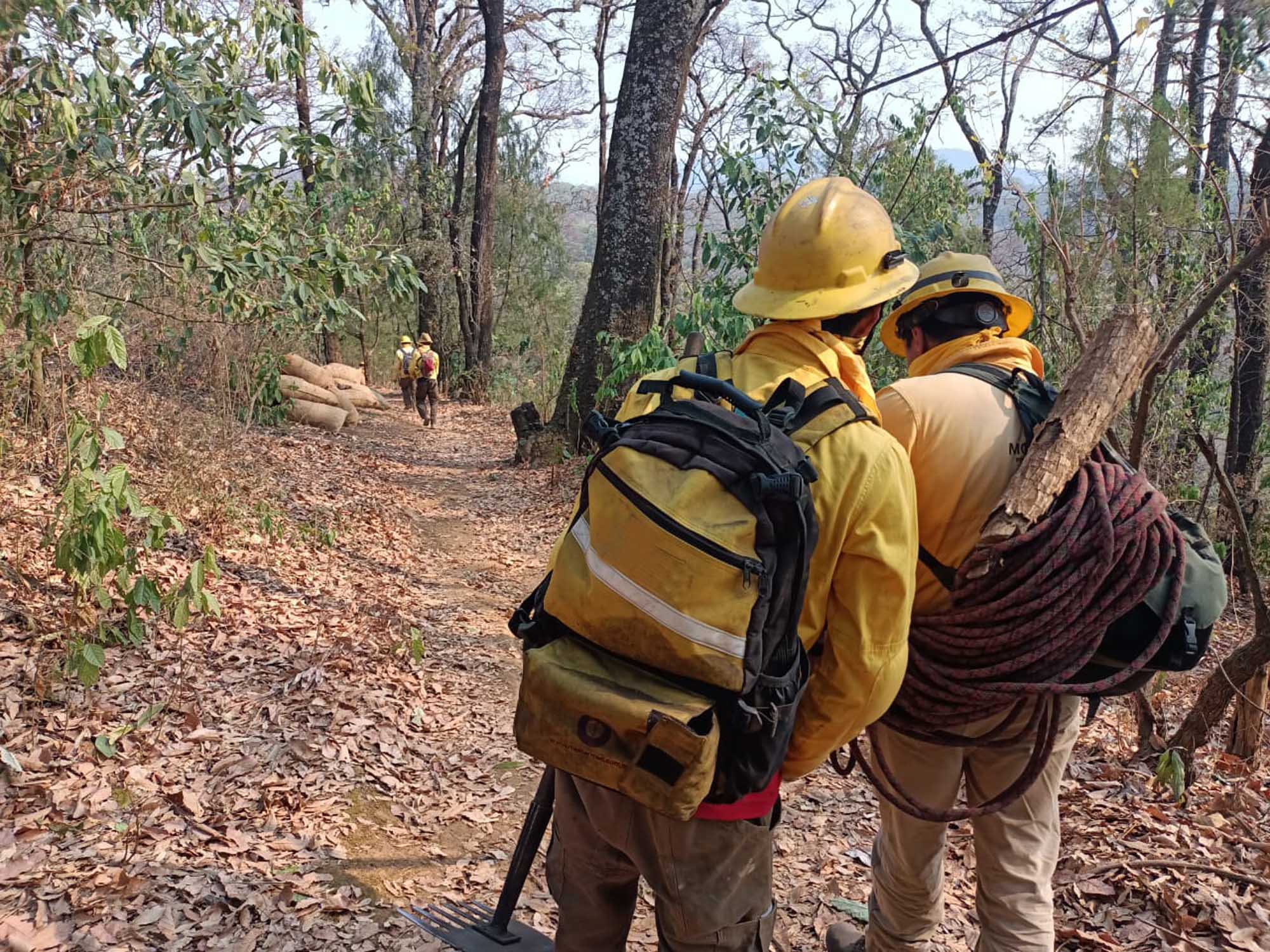 Mando Unificado de Incendios Forestales