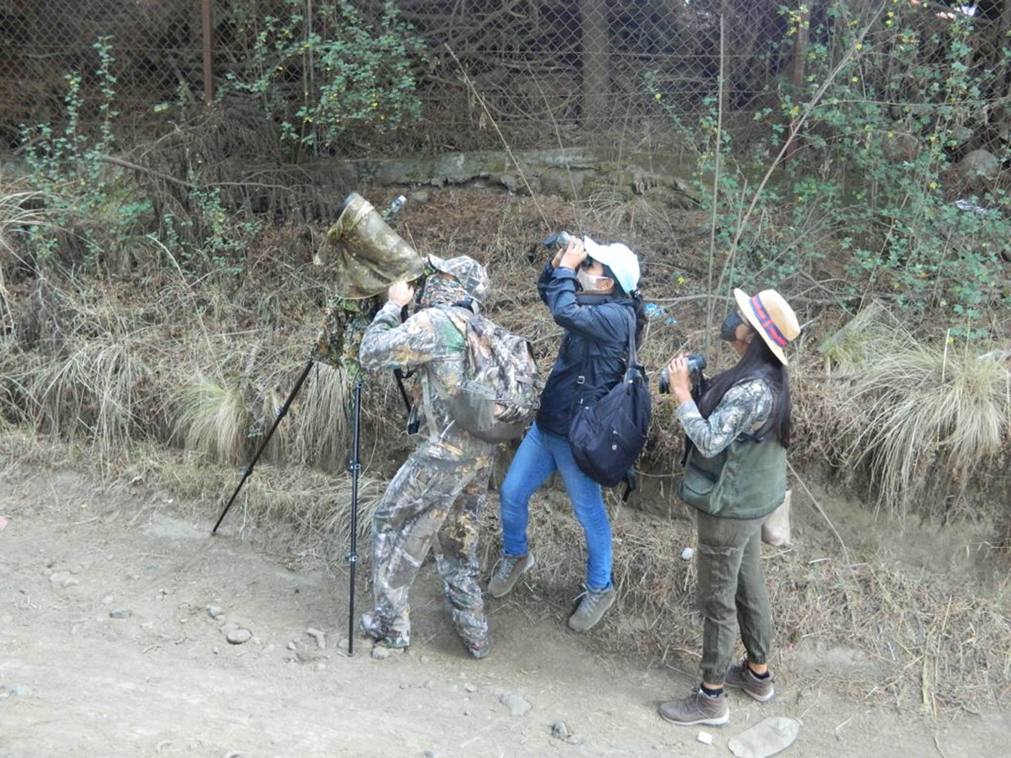 Actividad observación y conteo de aves