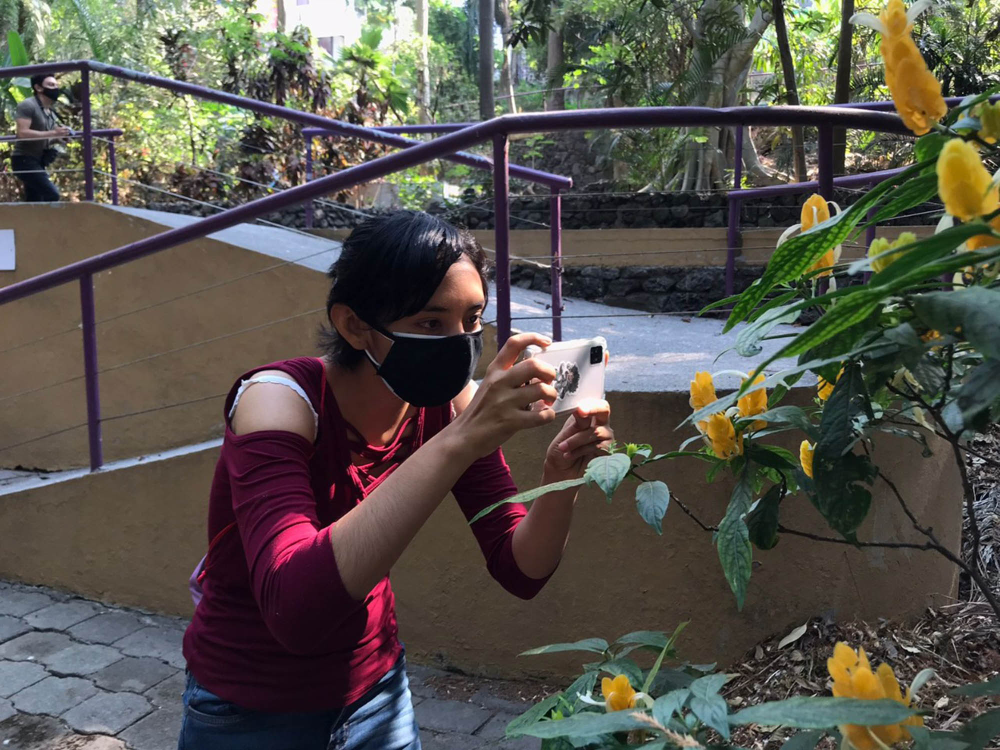 Chapultepec, Cuernavaca Morelos