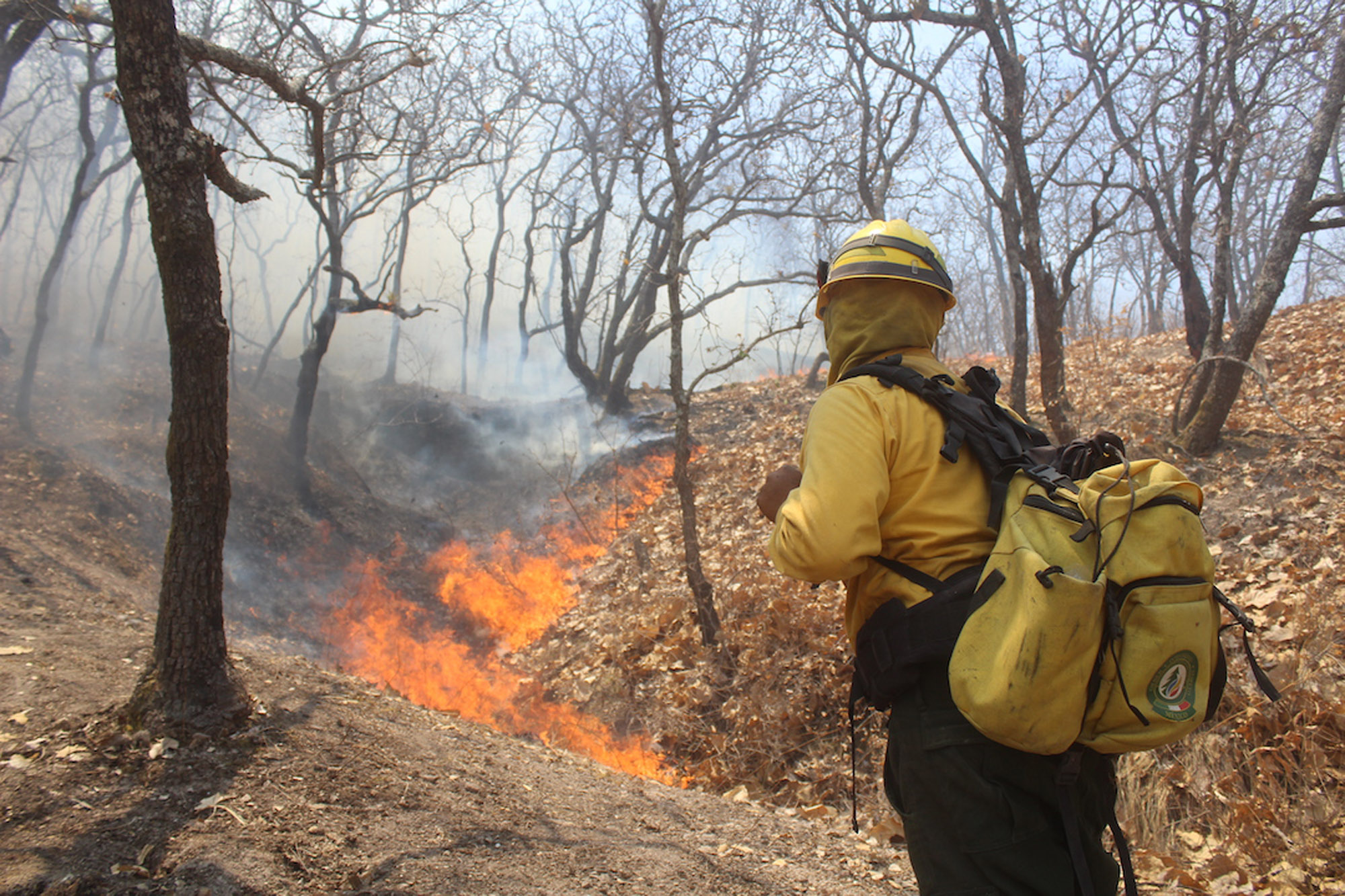 Día Internacional del Combatiente de Incendios Forestales