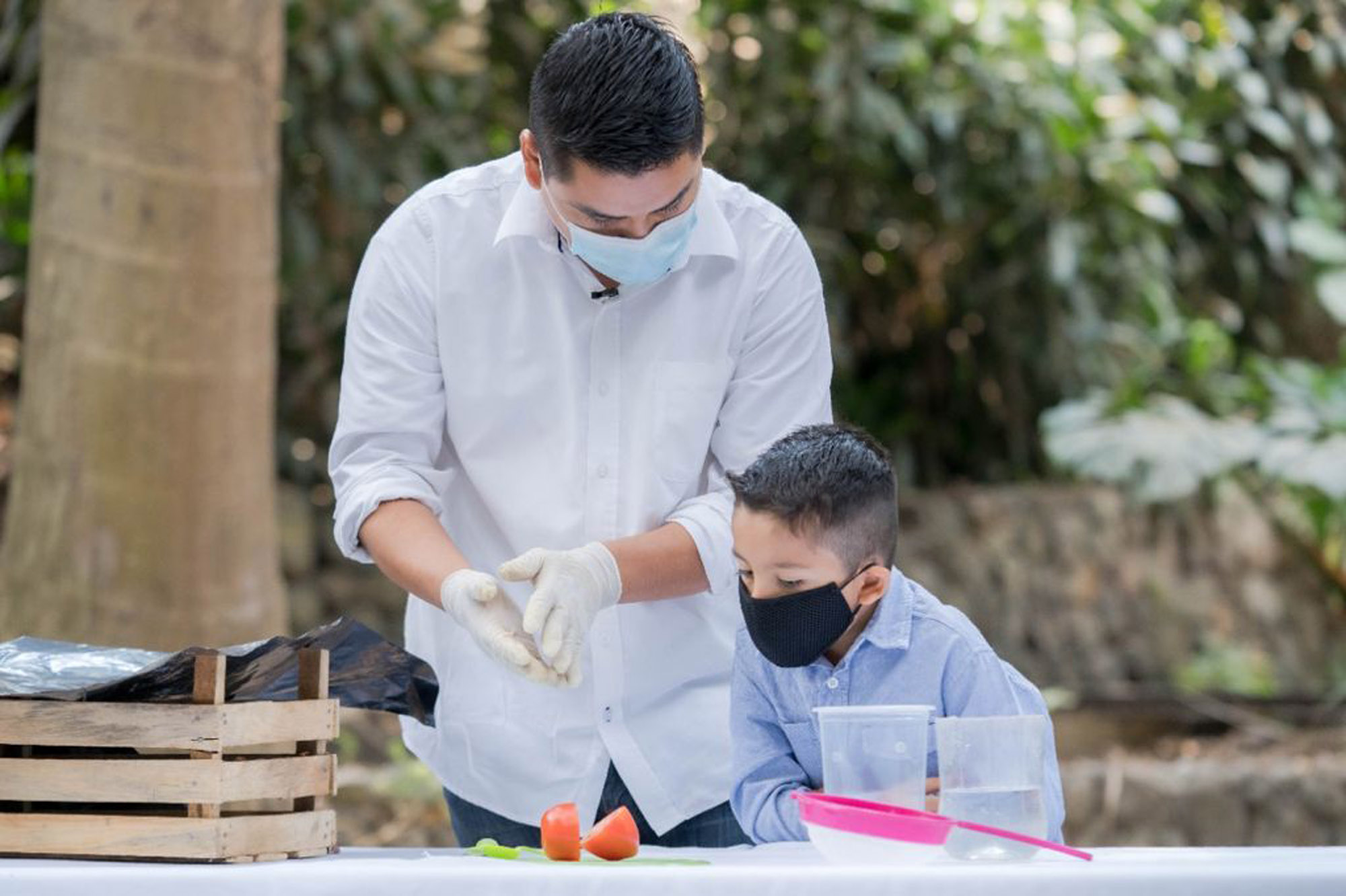 “El huertito de mi escuela en mi casa”