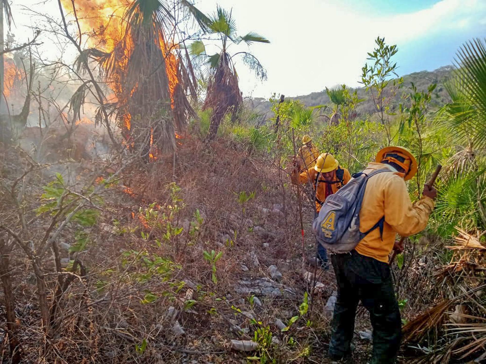 Incendios forestales en Morelos