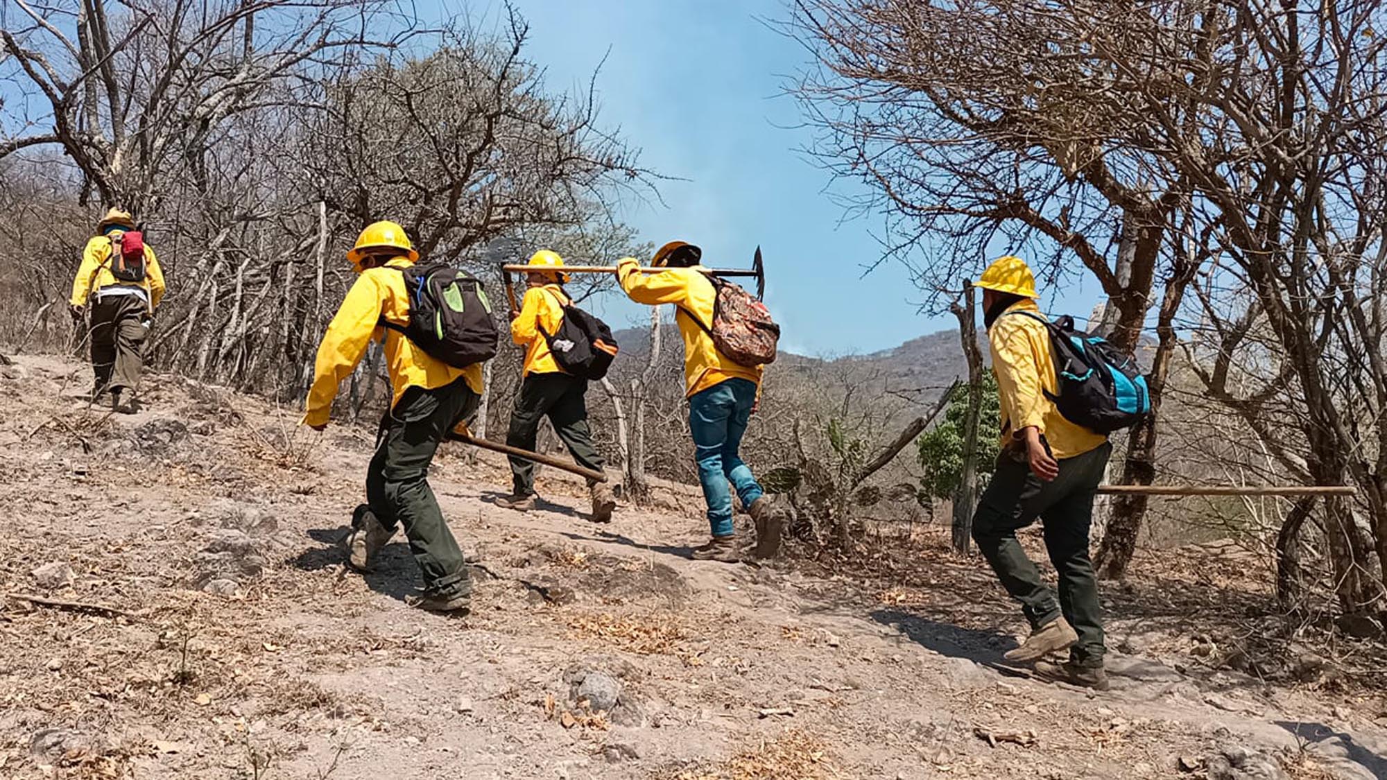 Mando Unificado de Incendios Forestales