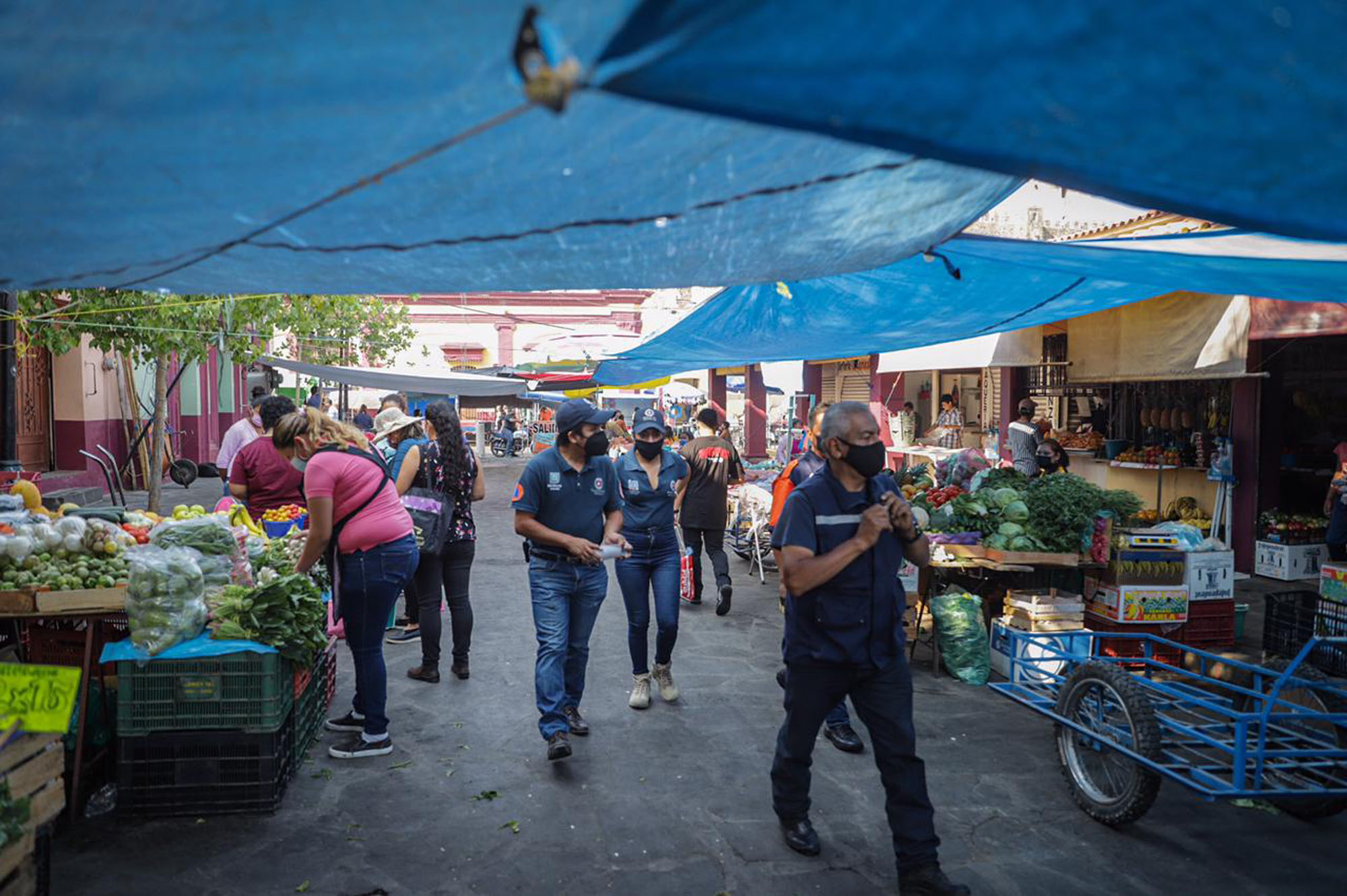 Operativo, foto cortesía