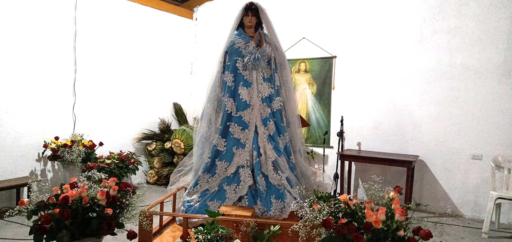 Foto de la Virgen de la Inmaculada Concepción. foto del muro de facebok de la página Tortuga1