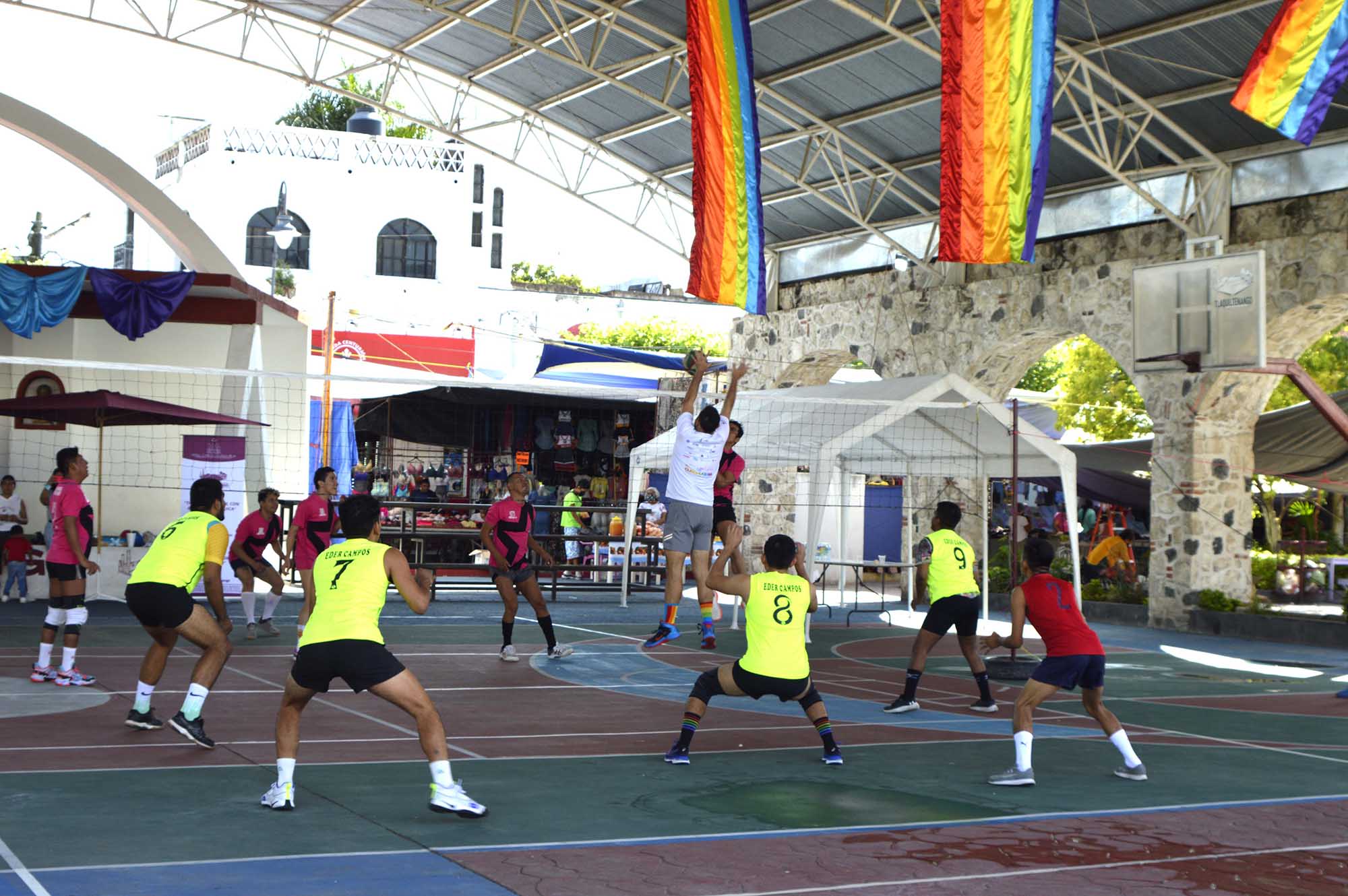 Aspecto partido de VolleyBall